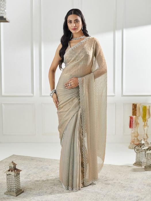 Embellished Beads and Stones Pure Silk Saree party wear saree