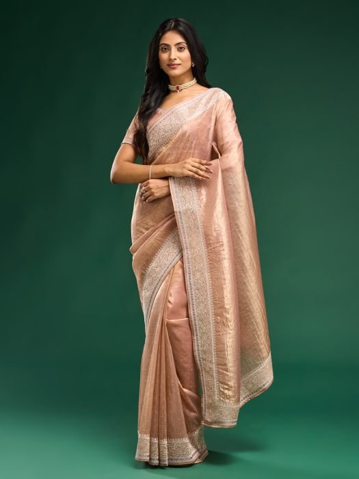 Floral Embroidered Organza Saree embroidered saree