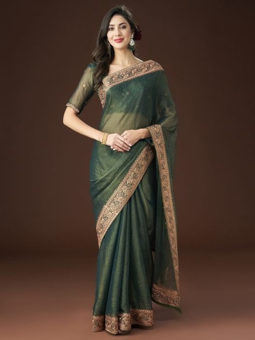 Green Zari Embroidered Saree embroidered saree