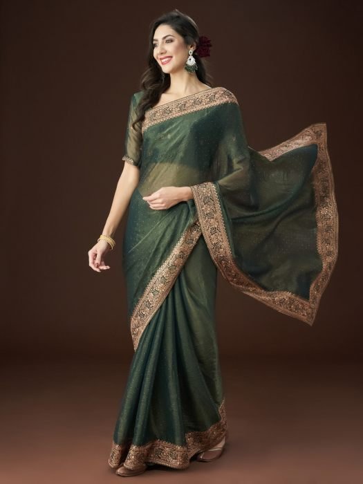 Green Zari Embroidered Saree embroidered saree