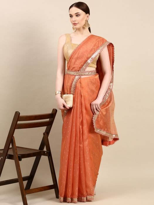 Orange Organza Saree With Sequins Border embroidered saree