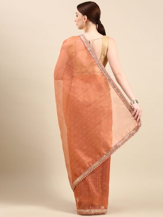 Orange Organza Saree With Sequins Border embroidered saree