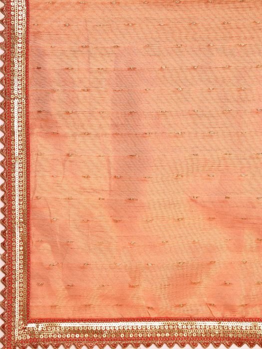 Orange Organza Saree With Sequins Border embroidered saree